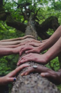 Big Book Promises With Every Step: (Alcoholics Anonymous)
