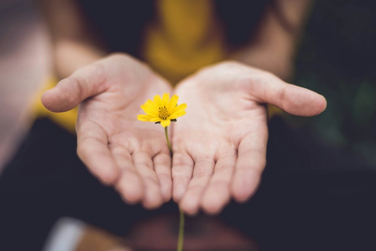 Open hands in meditation pose representing alternative approaches to the AA third step prayer