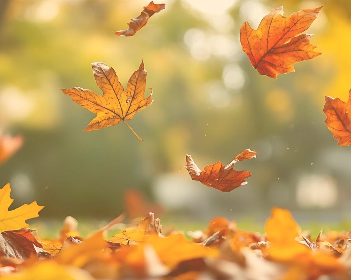 Letting go of character defects and negative behaviors in recovery