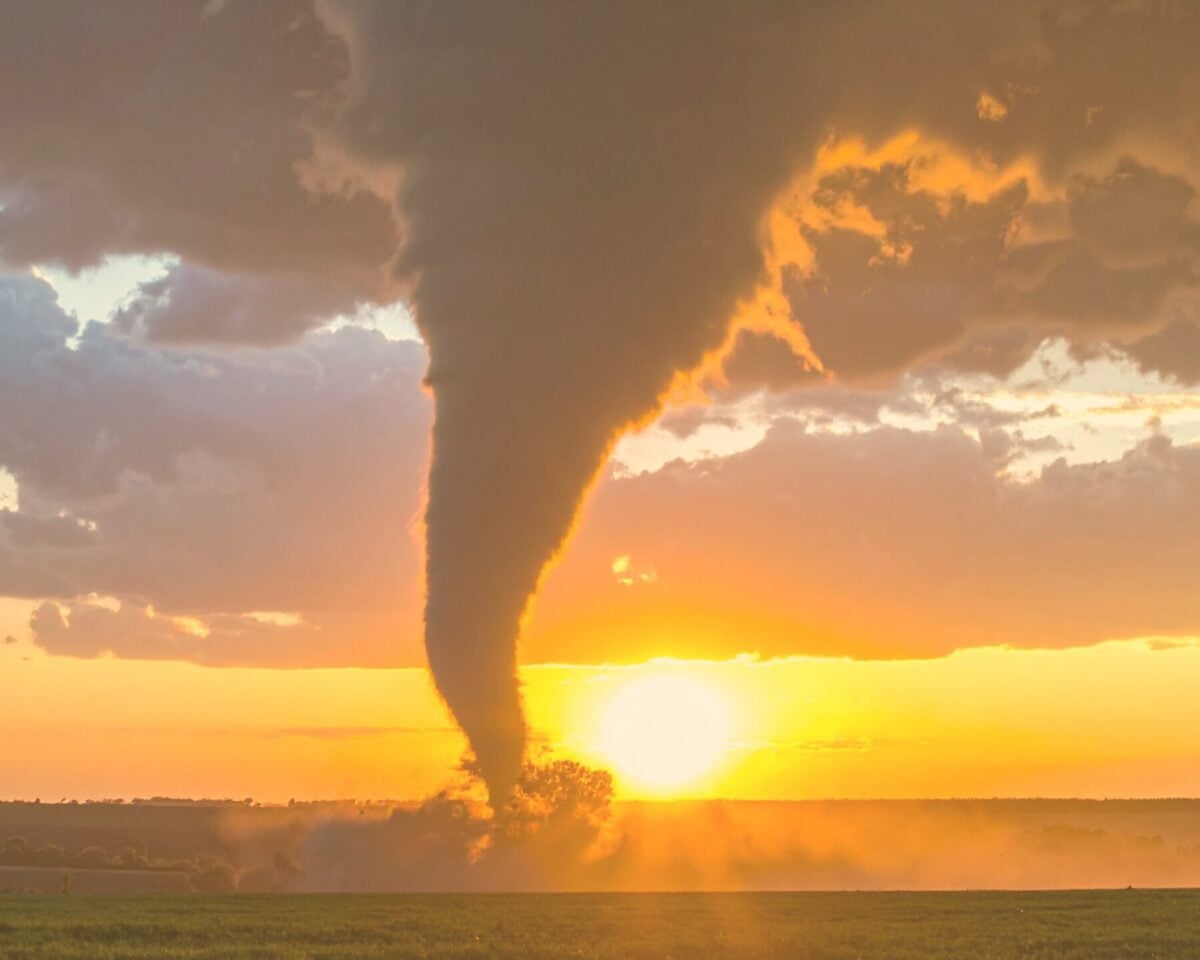 Finding hope and willingness in Step 6 AA process