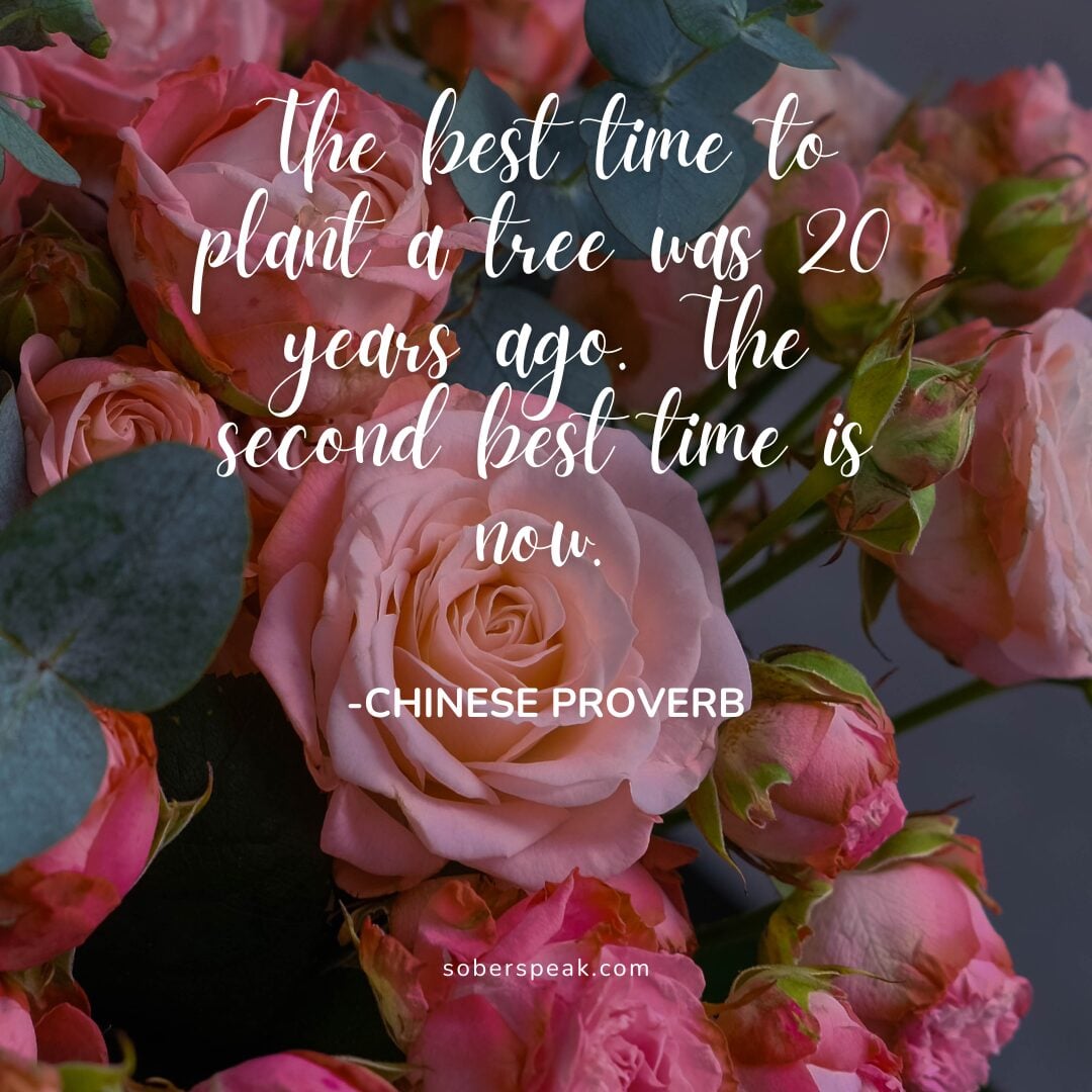 The best time to plant a tree was 20 years ago. The second best time is now.